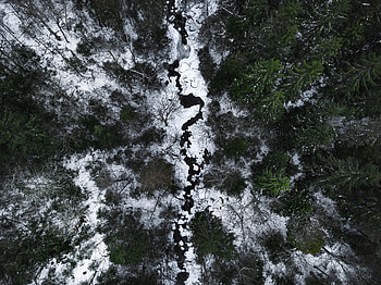 Winter, Nature, Rivers, Snow, View From Above, Forest HD wallpaper