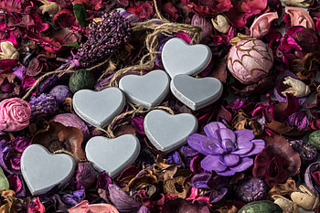 Flowers, Hearts, Love, Herbarium HD wallpaper