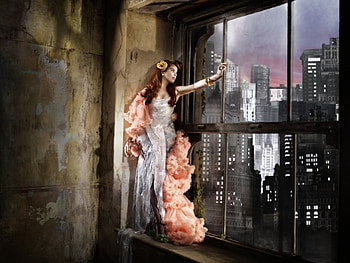 New York, Music, Enterainment, Paloma Faith HD wallpaper