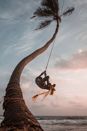 Experience a thrilling swing on a Sri Lankan palm tree by the ocean during sunset. HD phone wallpaper