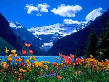 Beautiful Scenery, cool, scenery, beautiful HD wallpaper