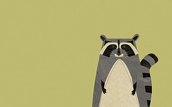 Minimalism, Vector, Animal, Raccoon HD wallpaper