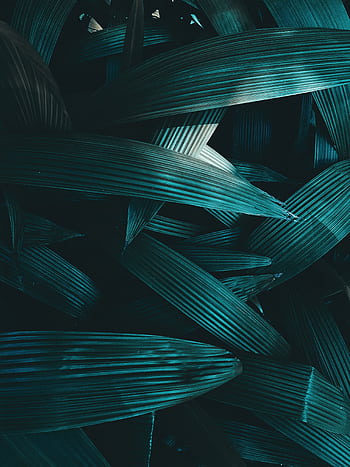 Abstract close-up of dark green geometric foliage with texture, perfect for backgrounds and . HD phone wallpaper
