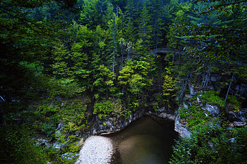 New Hampshire forest, , Tranquil setting HD wallpaper