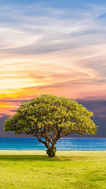 Ocean landscape, Summer serenade, Samsung Galaxy , Nature's harmony HD phone wallpaper