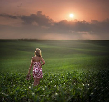 Watching the Sunset, grass, beauty, woman, lady, field, clouds, nature, sky, splendor, sun, sunset, female HD wallpaper