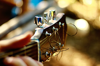Music, Guitar, Vulture, Strings HD wallpaper