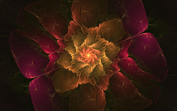 Abstract, Background, Smoke, Flower, Colorful, Colourful HD wallpaper
