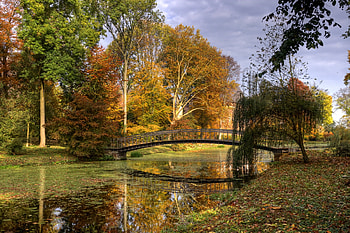 Nature, Rivers, Trees, Autumn, Leaves, Bridge, Netherlands HD wallpaper