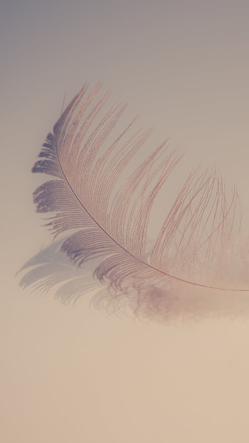 Soft feather, resolution, and Android , Gentle aesthetics HD phone wallpaper