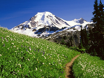 wonderful landscape, landscape, nature HD wallpaper