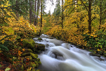 Gifford Pinchot, river, fun, cool, nature, forest HD wallpaper