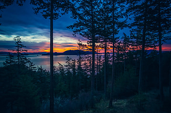 Dawn Time , dawn, nature HD wallpaper