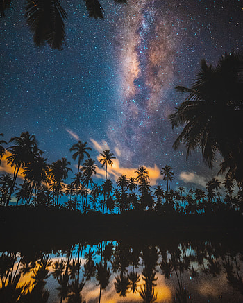 Nature, Stars, Night, Palms, Starry Sky, Milky Way HD phone wallpaper