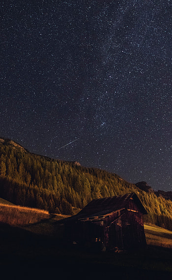 Nature, Stars, Night, Forest, Structure, Starry Sky HD phone wallpaper