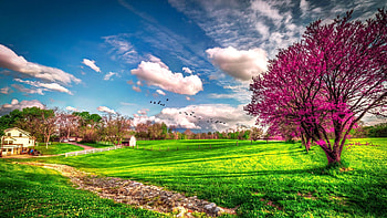 ... Beautiful spring ... HD wallpaper