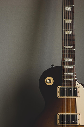 Guitar, Music, Musical Instrument, Vulture, Strings, Electric Guitar HD phone wallpaper
