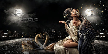ONCE UPON A TIME, NIGHT, SKY, EAGLE, BIRDS, SWANS, FEMALE, MOON HD wallpaper