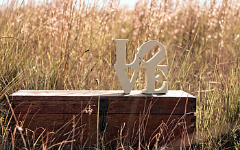 LOVE, sunshine, letter, chest, field, nature, grass, wooden chest HD wallpaper