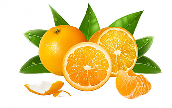 Oranges, white, green, fruit, slice, orange, food HD wallpaper