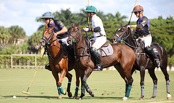 Seminole Casino Coconut Creek, Santa Rita Grand Champions Polo Club, Fall Classic season opener HD wallpaper
