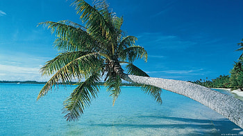 Zanzibar island, , Coastal charm, Home screen delight HD wallpaper