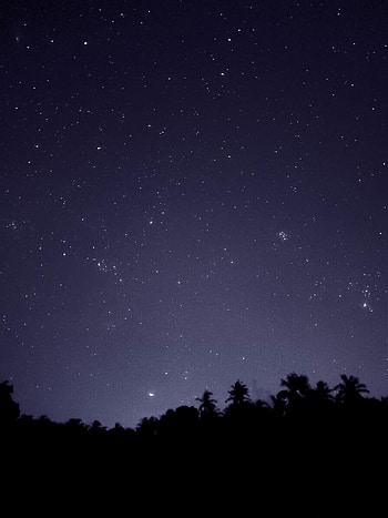 Trees, Night, Dark, Starry Sky, Outlines HD phone wallpaper
