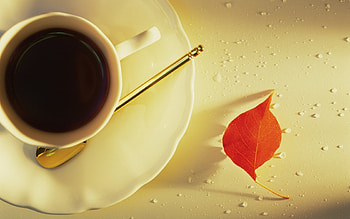 Food, Leaves, Drinks HD wallpaper