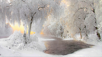 Snow, Winter, River, Sunset, , Forest, Tree HD wallpaper