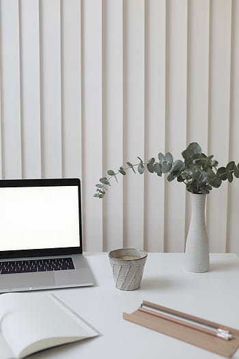 Modern minimalist workspace featuring a laptop, eucalyptus in a vase, and vertical blinds. HD phone wallpaper
