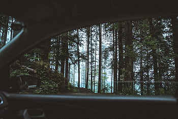 Scenic view of a lush forest through a car window in Söll, Austria. HD wallpaper