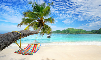 Beach, Tropical, Coconut tree, Paradise, Sea HD wallpaper