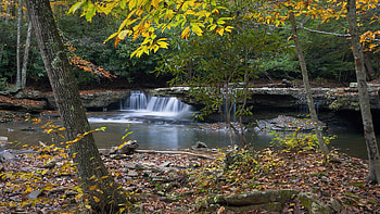 Autumn at Camp Creek Falls, West Virginia, forest, cascade, river, trees, rocks, usa HD wallpaper