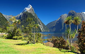 Breathtaking view of Milford Sound with Mitre Peak, lush greenery, and clear blue skies. HD wallpaper