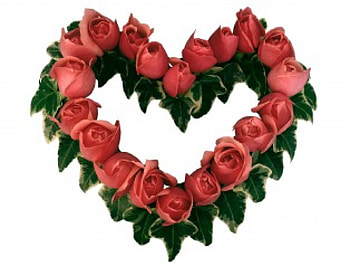 Heart of pink roses, pink, heart, rosrs, lovely HD wallpaper