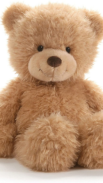 Teddy Bear Live, Soft Toy HD phone wallpaper