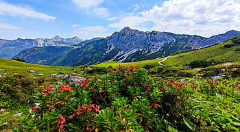 Spring in mountains, wildflowers, hills, grass, sky, flowers, beautiful, spring, mountain, greenery HD wallpaper