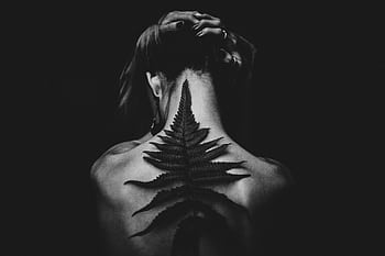 Black and white of a tattooed woman from the back, featuring a fern design. Captivating and artistic pose. HD wallpaper