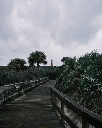 Nature, Trees, Bush, Wood, Wooden, Bridge, Lighthouse HD phone wallpaper