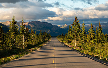 Tropical forest, Road, Mountains, Alaska, Trees HD wallpaper