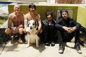 Red Hot Chili Peppers, Full , Rock music, Energetic visuals HD wallpaper