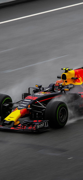 F1 Redbull, Verstappen HD phone wallpaper