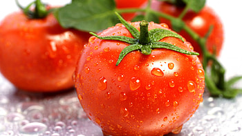 High-quality , Detailed graphy, Juicy tomato HD wallpaper