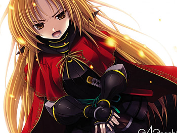 Oda Nobuna, series, anime, game, wall, girl, oda, beauty HD wallpaper