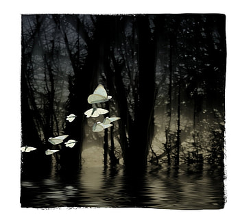 GHOST LAKE, butterflies, abstract, ghost, fantasy, nature, lake HD wallpaper