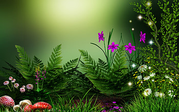 Artistic, Spring, Fern, Flower, Grass, Mushroom HD wallpaper
