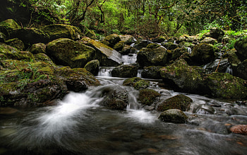 Queimadas, green, beautiful, nature, peaceful, serene, rocks, forest, rivers HD wallpaper