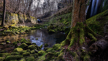 Green moss on rocks, stream, nature HD wallpaper