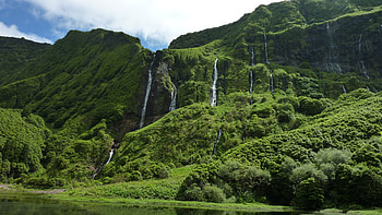 Nature, Trees, Grass, Waterfall, Portugal, Azores HD wallpaper