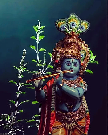 Hare krishna, eye, people_in_nature HD phone wallpaper